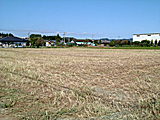 農地の写真